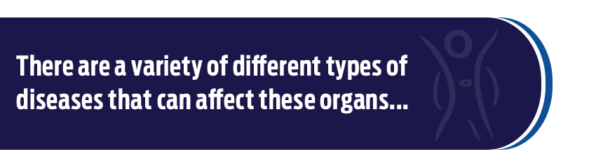 Imagen del procedimiento